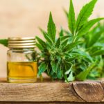 Concentrated CBD Oil